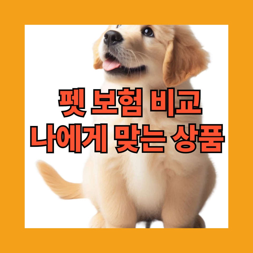 펫 보험 비교, 나에게 맞는 상품
