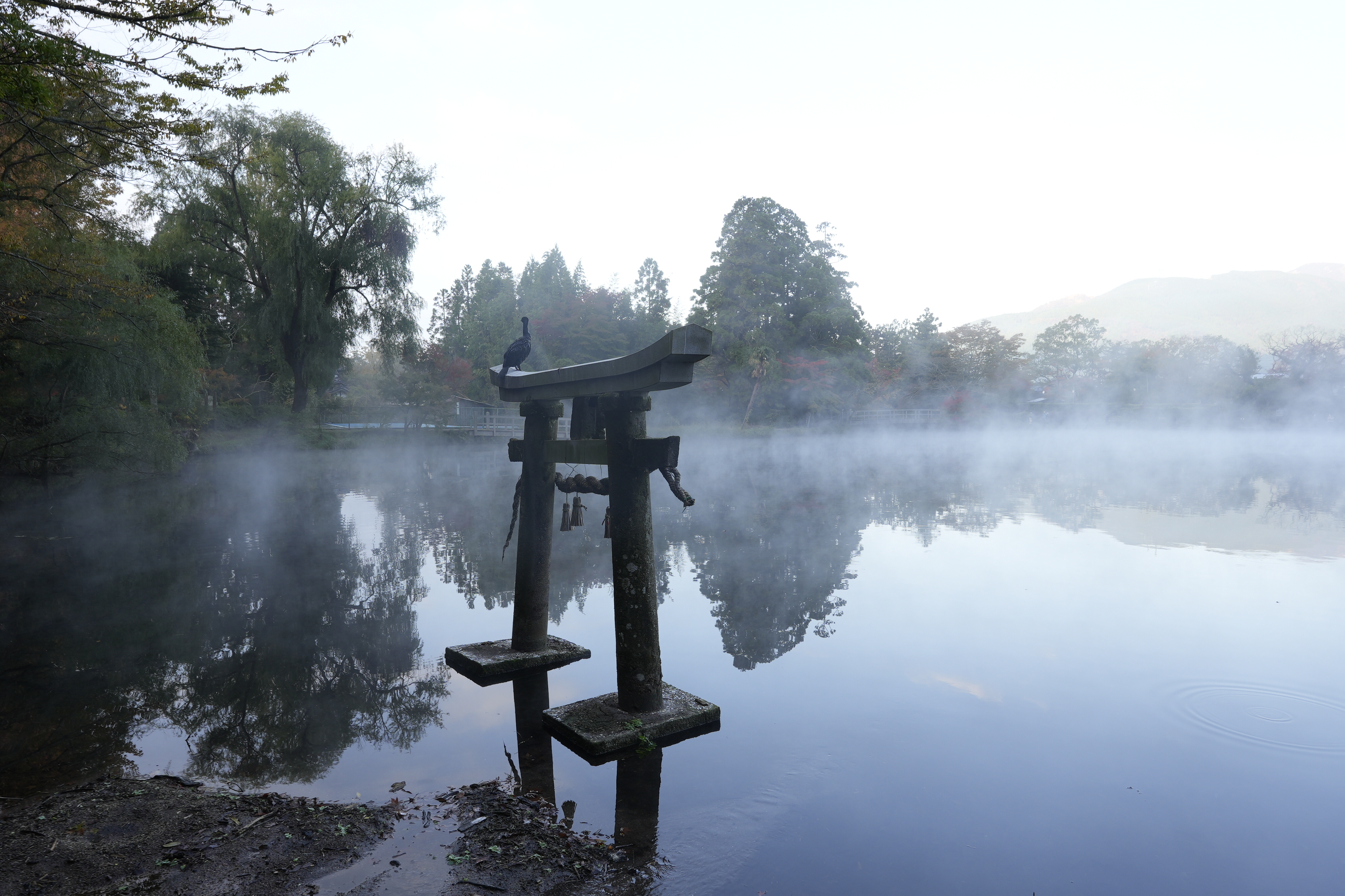 유후인 킨린코 호수