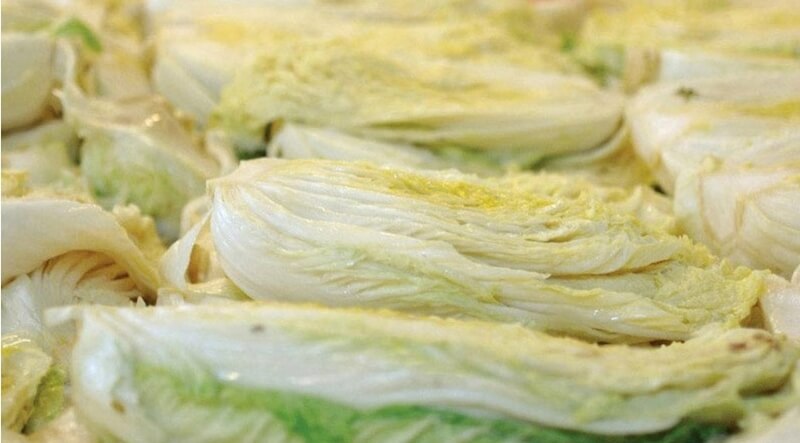 눕혀놓은-절임배추들