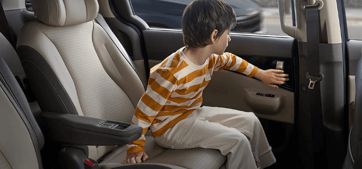 카니발 하이브리드