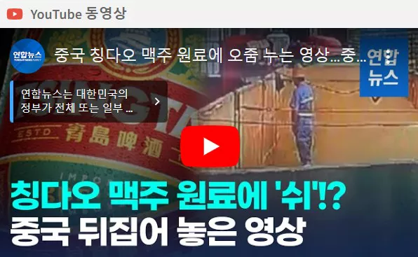 칭다오 맥주 소변