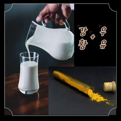 면역력 강황가루효과 건강에좋은음식 면역력높여주는음식