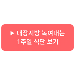 내장지방