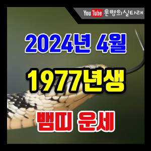 썸네일 사진