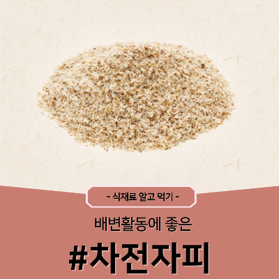 차전자피
