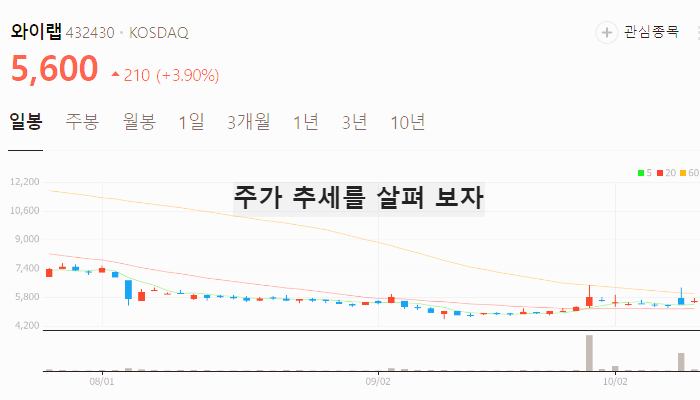 웹툰 관련주 대장주 TOP4
