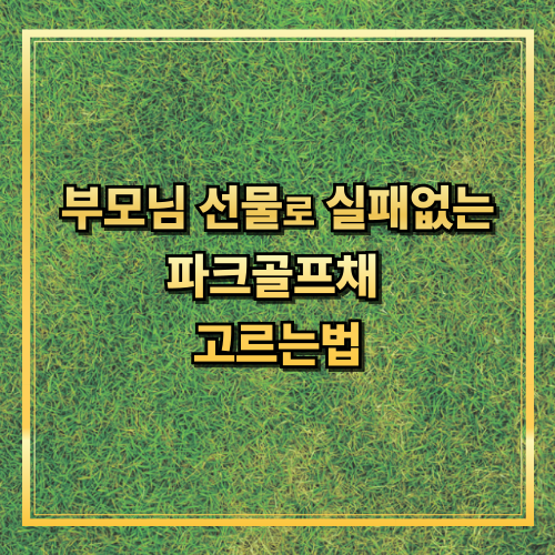 파크골프채를 부모님 선물로 고려할 때 확인해야 할 핵심 조건