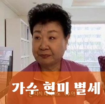 가수 현미
