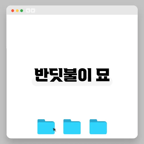 반딧불이 묘