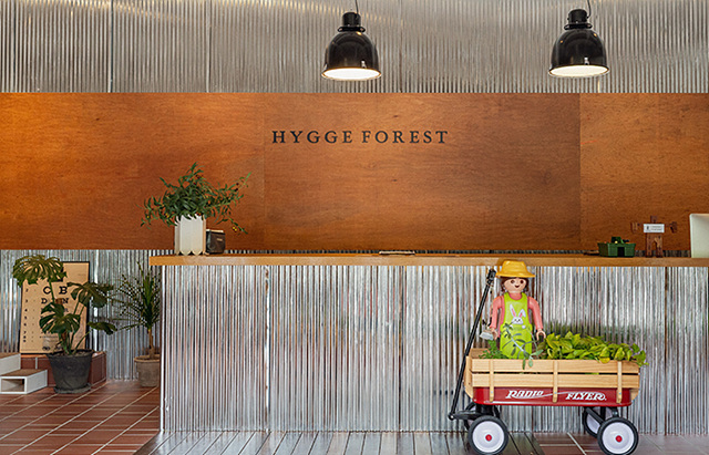 평창휘게포레스트1