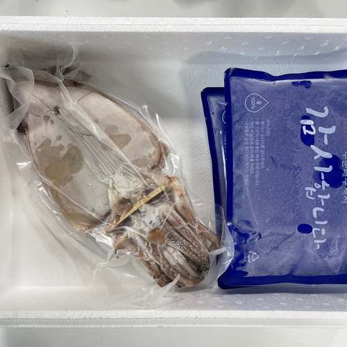 급속냉동 포장