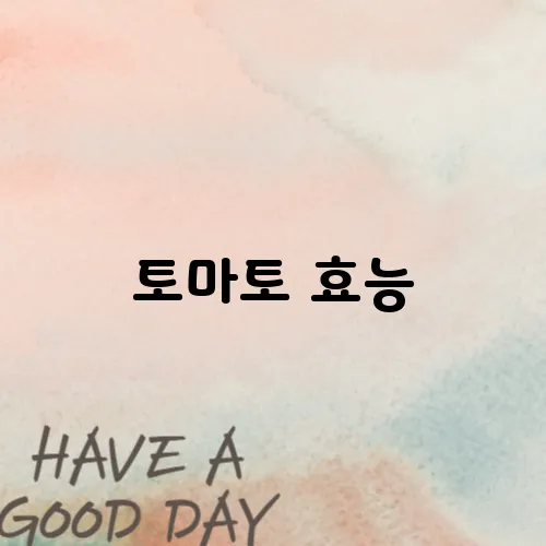 토마토 효능
