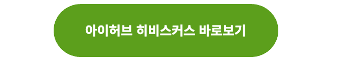 아이허브 히비스커스 바로보기