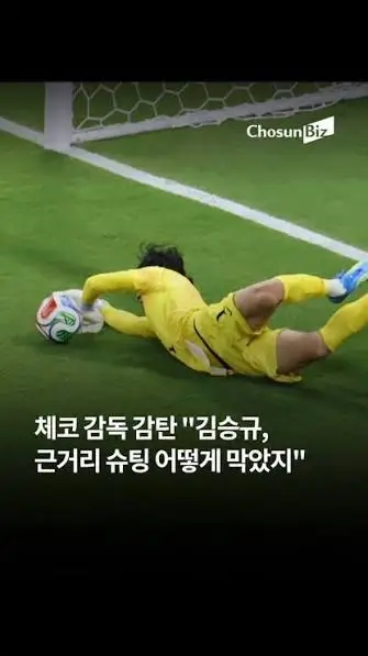 체코전-하이라이트