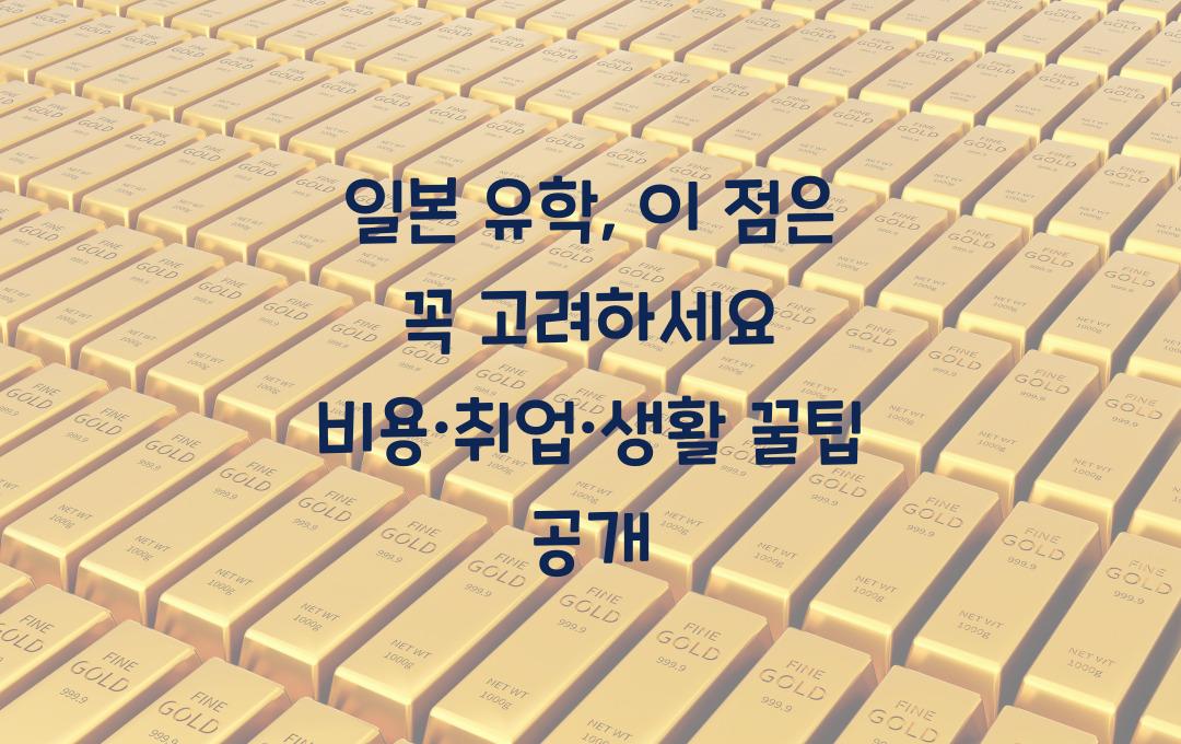 일본 유학, 이 점은 꼭 고려하세요! (비용, 취업, 생활)