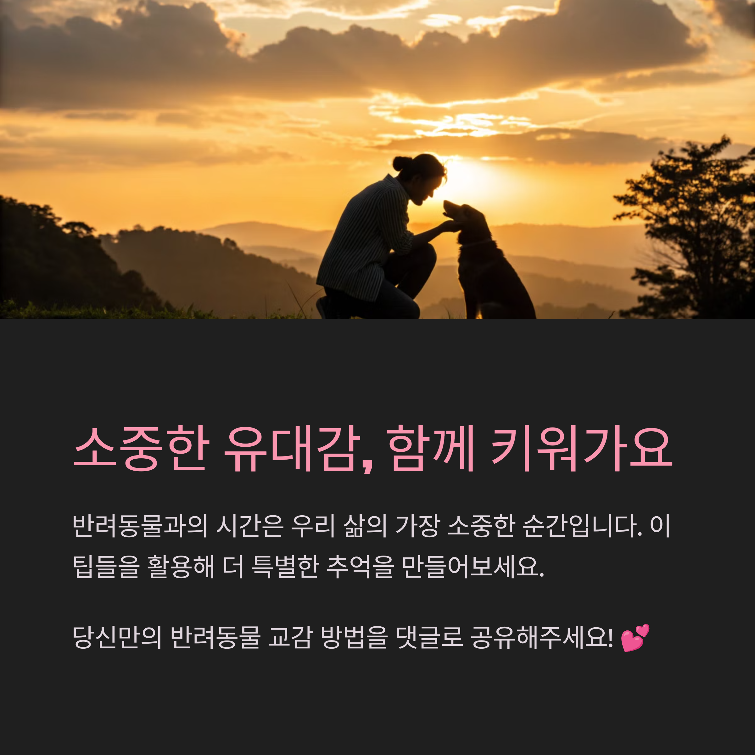 ๋ฐ๋ ค๋๋ฌผ๊ณผ ํจ๊ปํ๋ฉด ๋ ํ๋ณตํด์ง๋ 7๊ฐ์ง ํน๋ณํ ํ๋