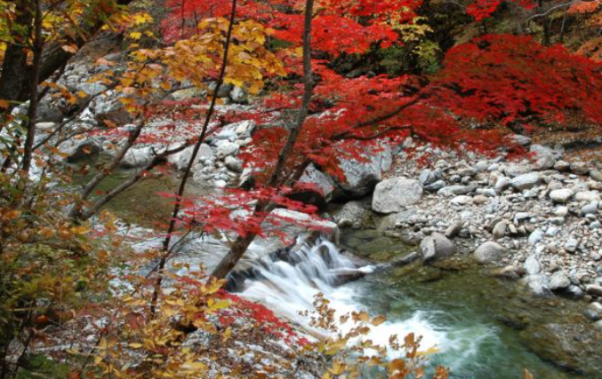 2025 지리산 단풍 절정 시기 &amp; 실시간 현황 + 인기 등산코스 총정리