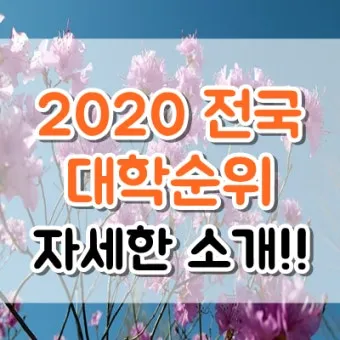 전국 대학 순위 100 국내 대학교 순위 종합 비교 분석_22