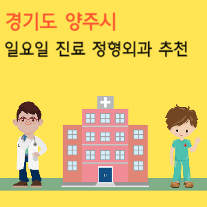 경기도 양주시 일요일 진료 정형외과 추천