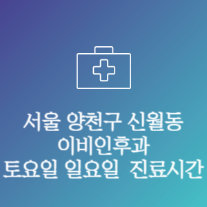 서울 양천구 신월동 이비인후과 주말 토요일 일요일 문여는 병원 진료시간