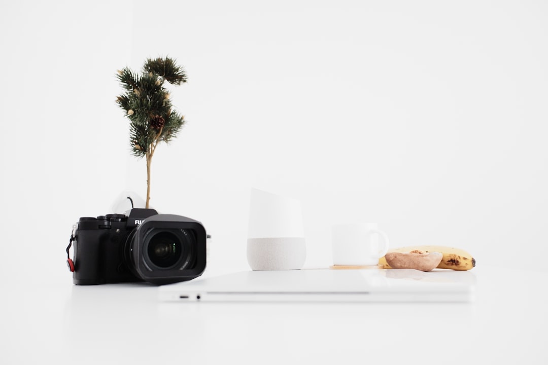 '미스터트롯3 다시보기'에서 가장 중요한 명사는 trot입니다.