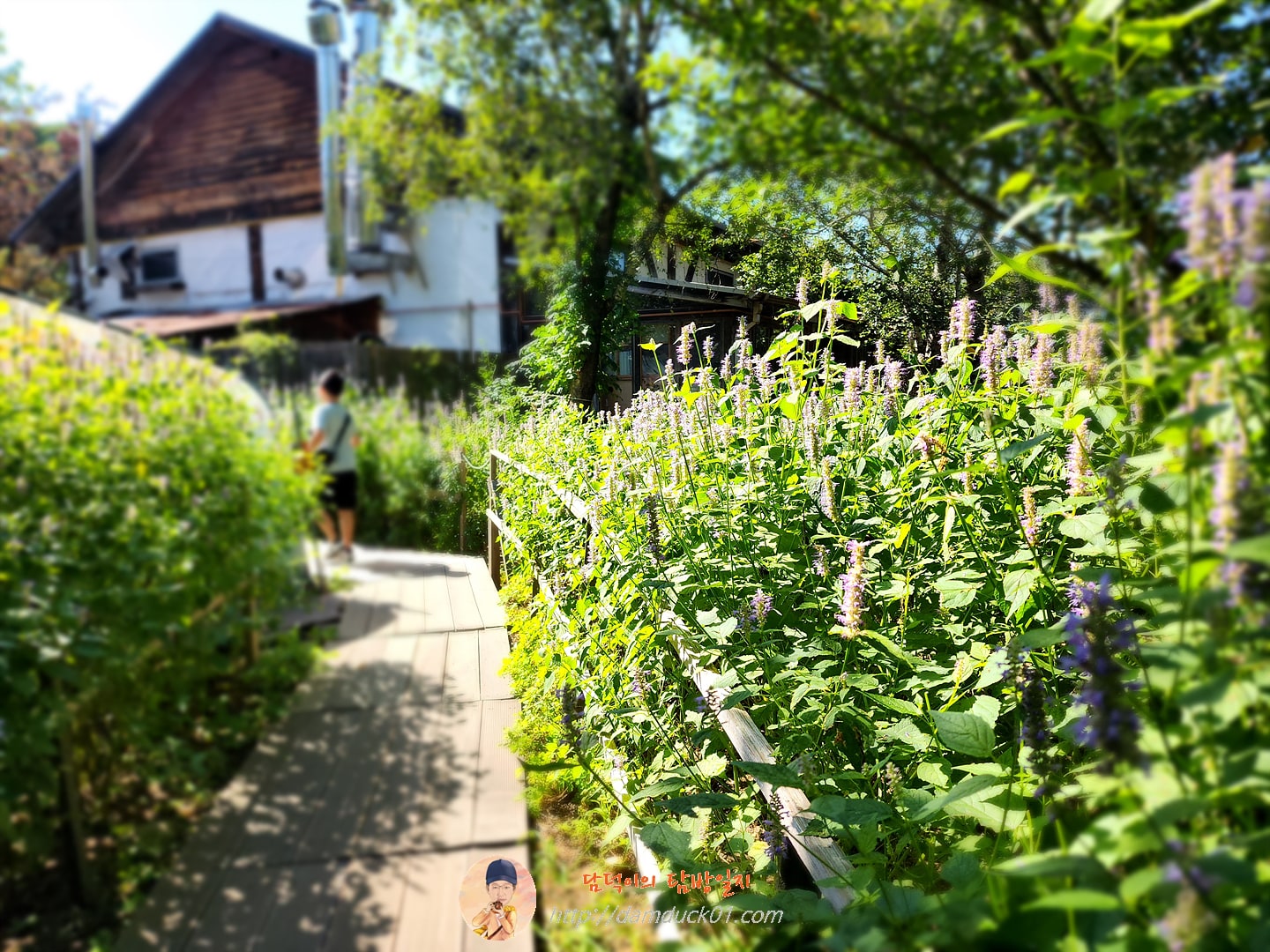 테라로사 커피공장 강릉본점 정원