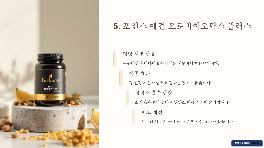 강아지 장 건강 영양제 추천 TOP5