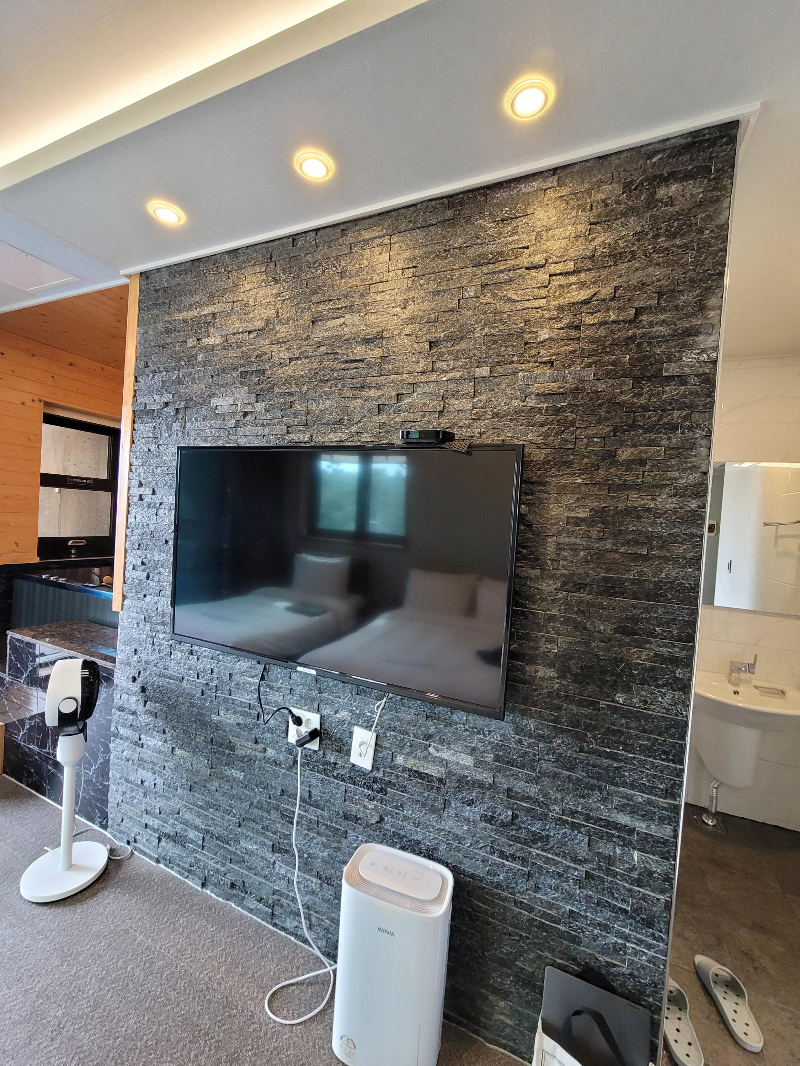 대형티비, 공기청정기, 에어 서큘레이터