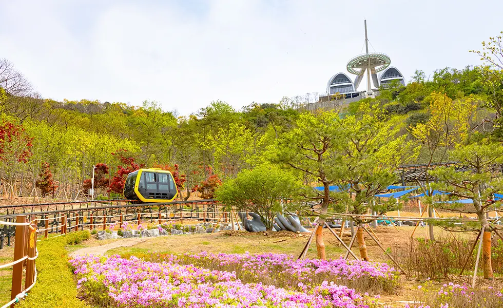 화계정원
