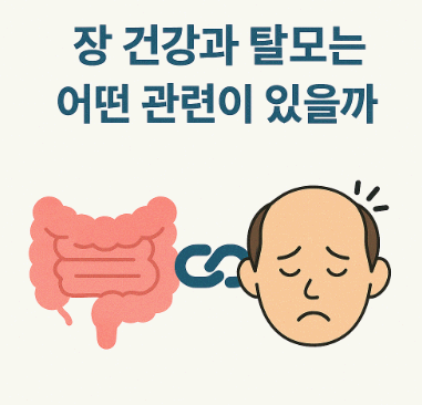 장 건강과 탈모는 어떤 관련이 있을까