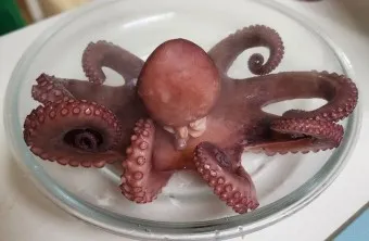 문어 삶는법 문어 요리 레시피_20