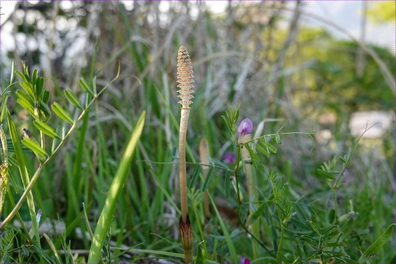 적금금리 높은 곳