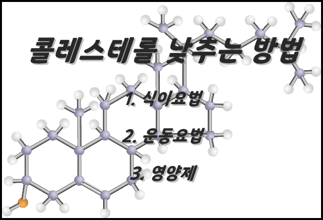 콜레스테롤 낮추는방법 썸네일입니다