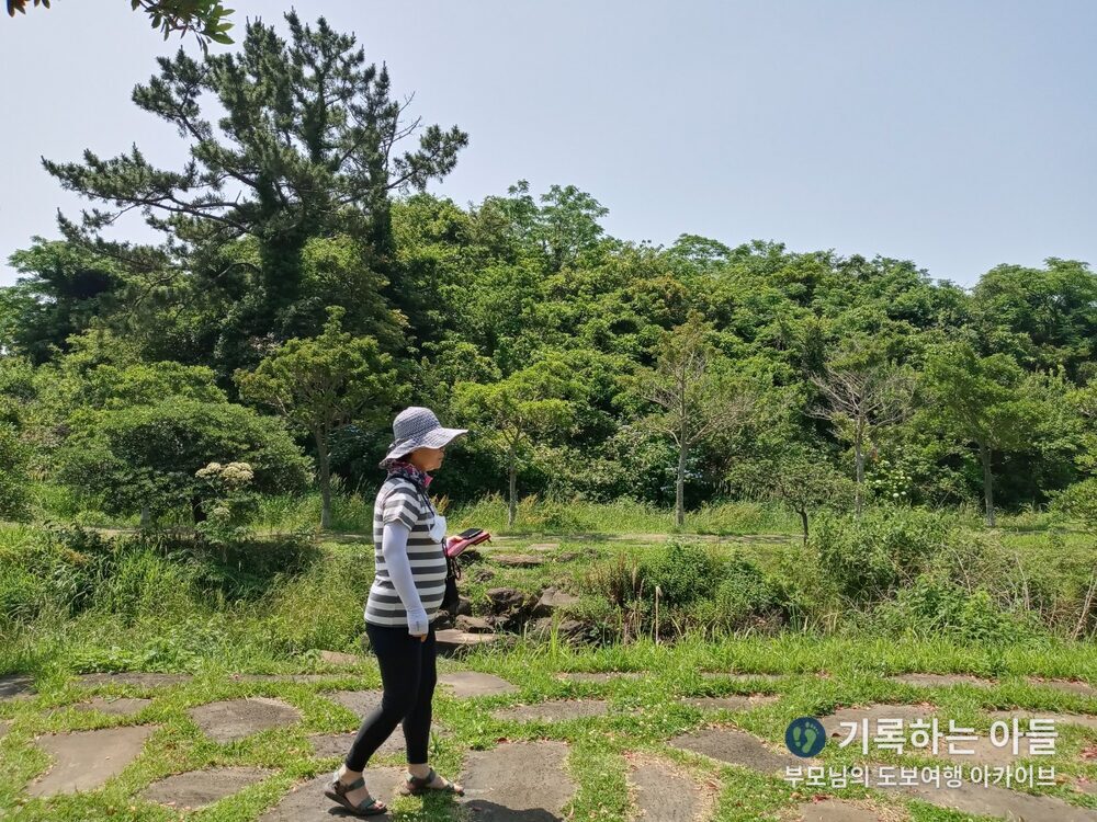 예래생태공원 어머니 걷는 모습