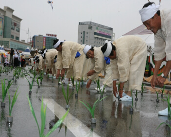 금산인삼축제 프로그램_3