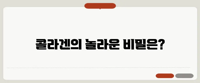 콜라겐의 효능 피부부터 관절까지 다 챙긴다