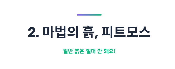 블루베리 키우기