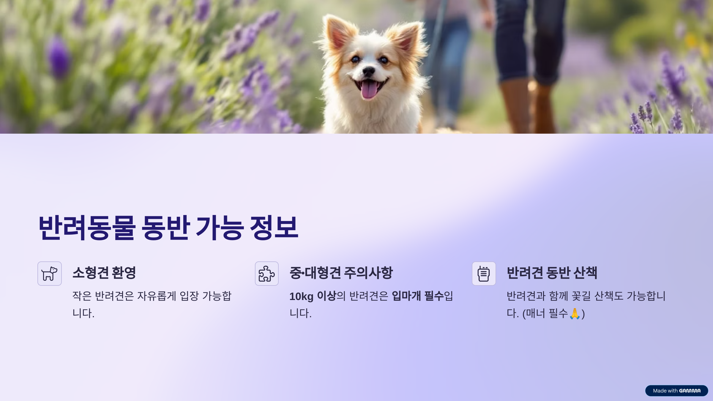 포천 허브아일랜드 라데봄 축제 총정리