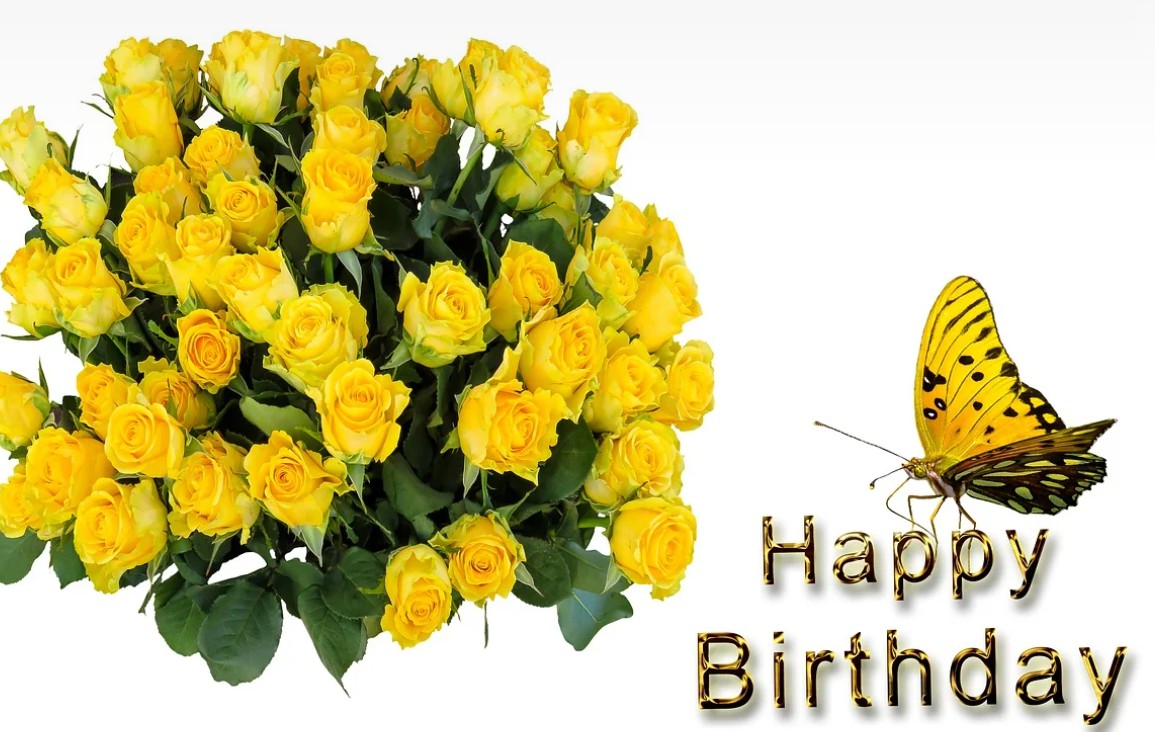 생일 꽃 선물 추천