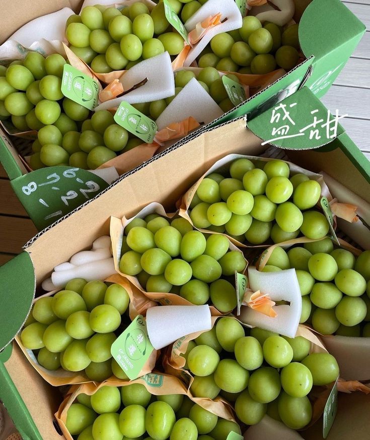 샤인머스켓 효능