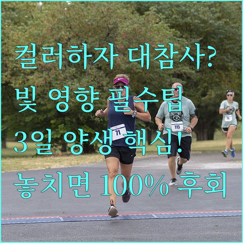 컬러 도배 하자 방지 빛의 영향 파악..