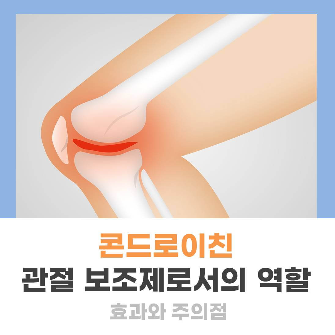 콘드로이친