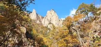 설악산 단풍 절정시기 2024년 예상일정과 교통편 정보_19