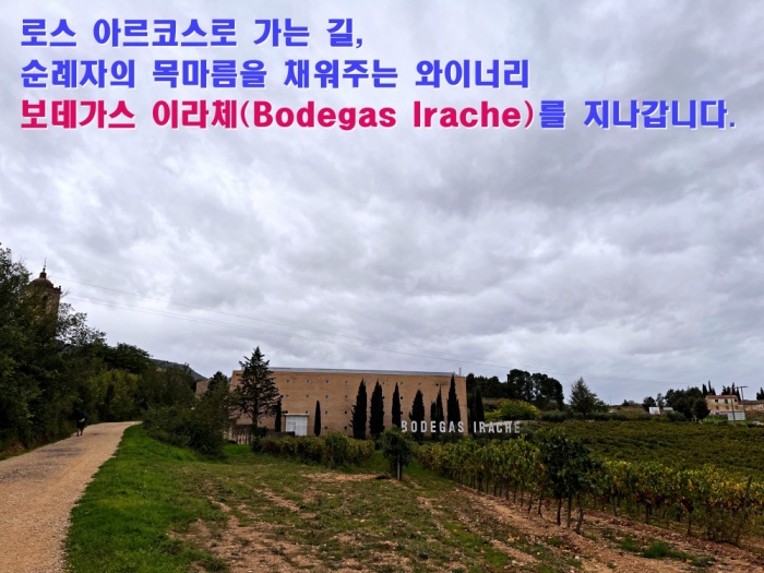 산티아고 순례길 후기, 로스 아르코스, 보데가스 이라체