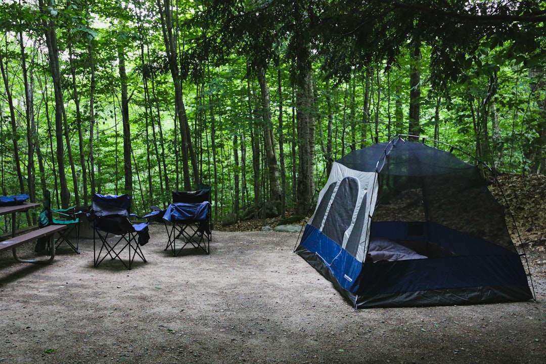 Campsite