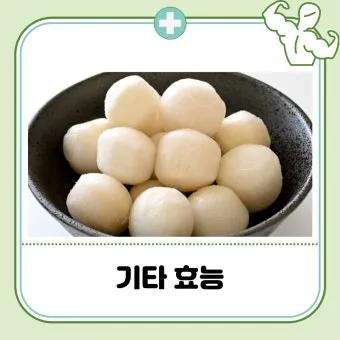 토란 심는시기 재배법 파종시기_9