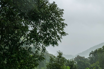 자연재난 폭우 피해 재난지원금 신청