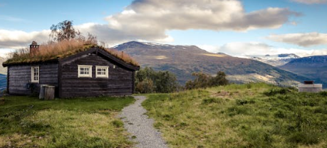 청년 월세 지원금