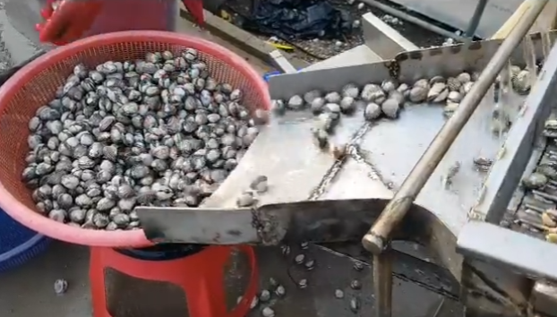 생방송투데이 꼬막 전남 보성 벌교꼬막