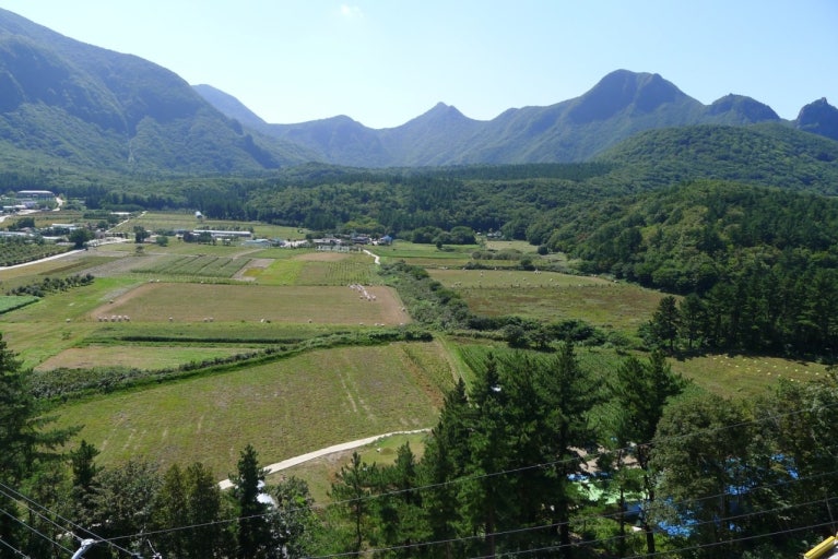 나리분지 관련 사진